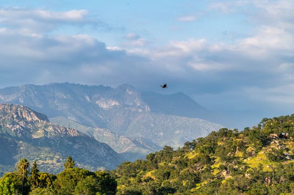 Panoramic Sierra Nevada mountain views from Sierra Skyline deck with eagle soaring over Three Rivers, CA