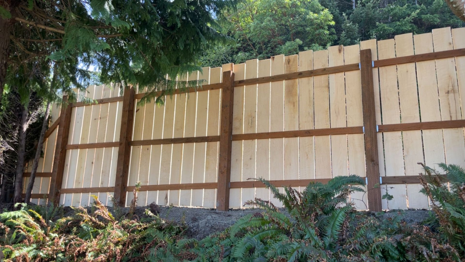 A wooden fence is surrounded by trees and bushes.