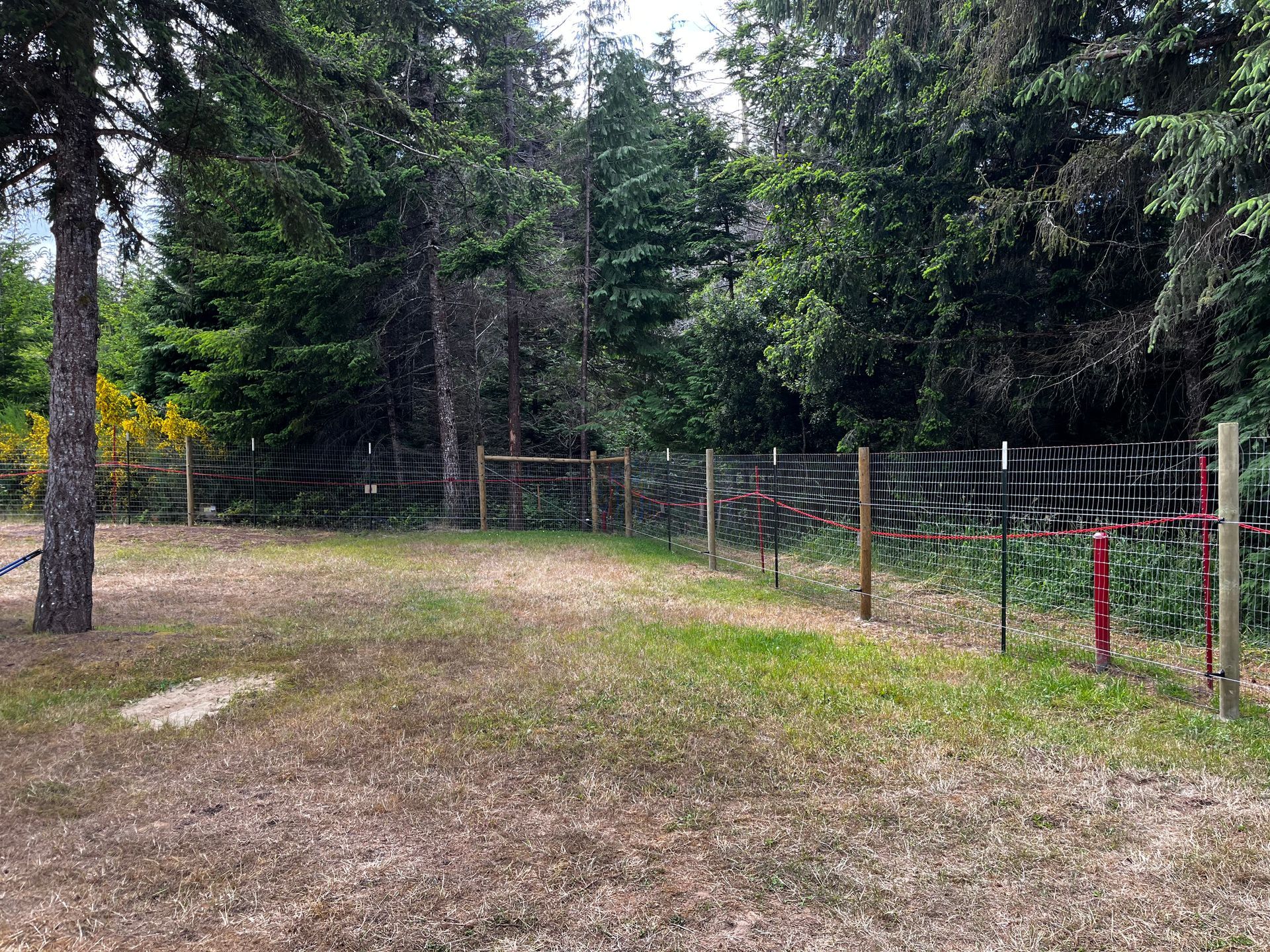 There is a fence in the middle of a field with trees in the background.