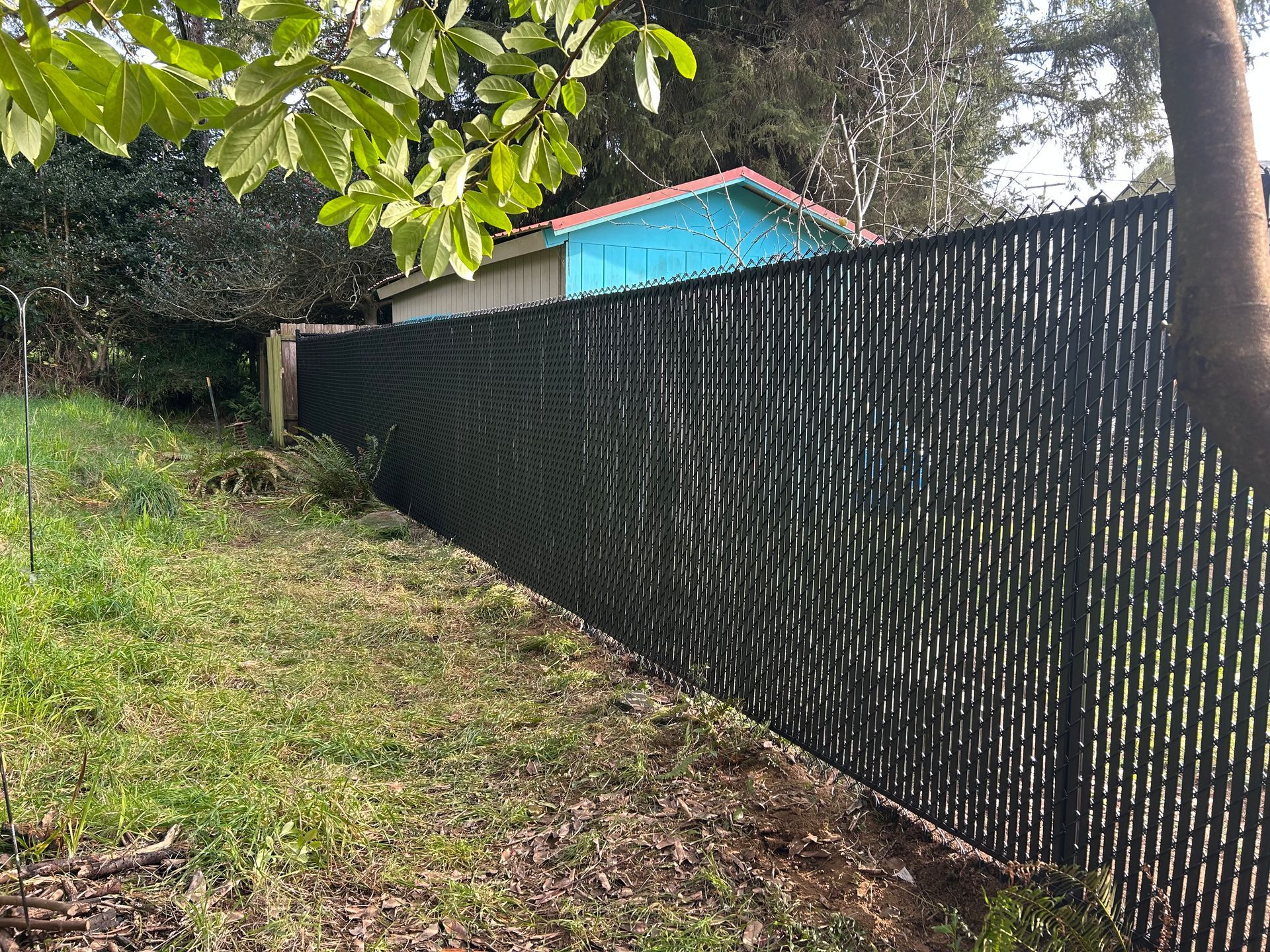 Black woven fence along a grassy slope beside a turquoise house, with tree branches overhead.