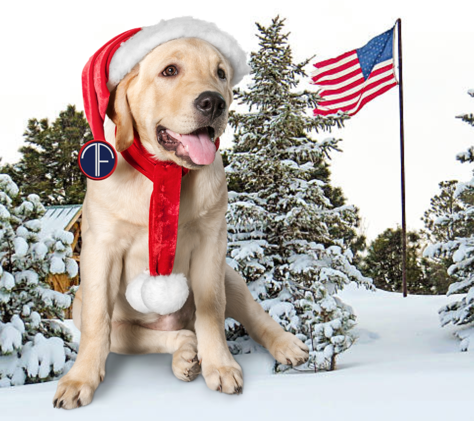 Nonprofit Veterans Charity | Conshohocken, PA | Team Foster