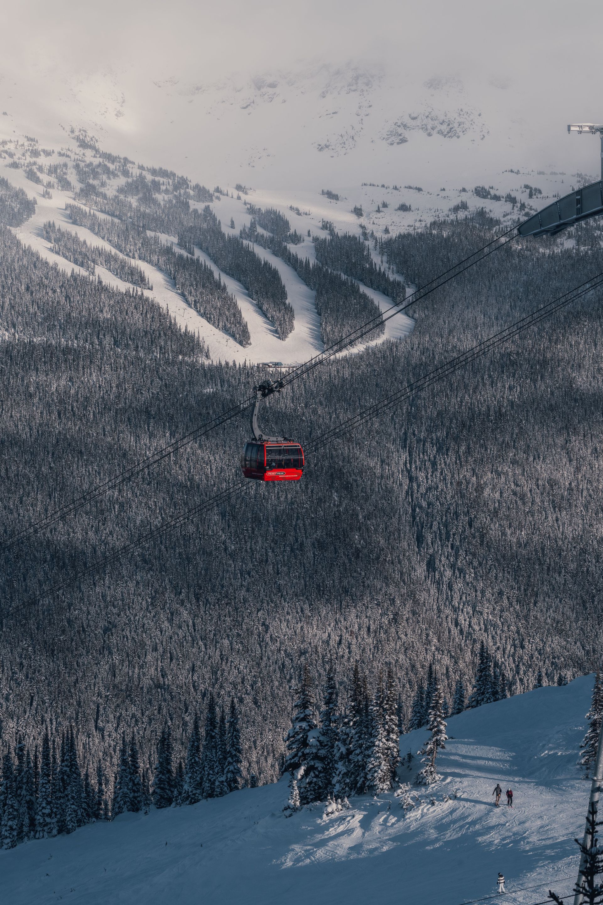 Jacksonville Ski Club