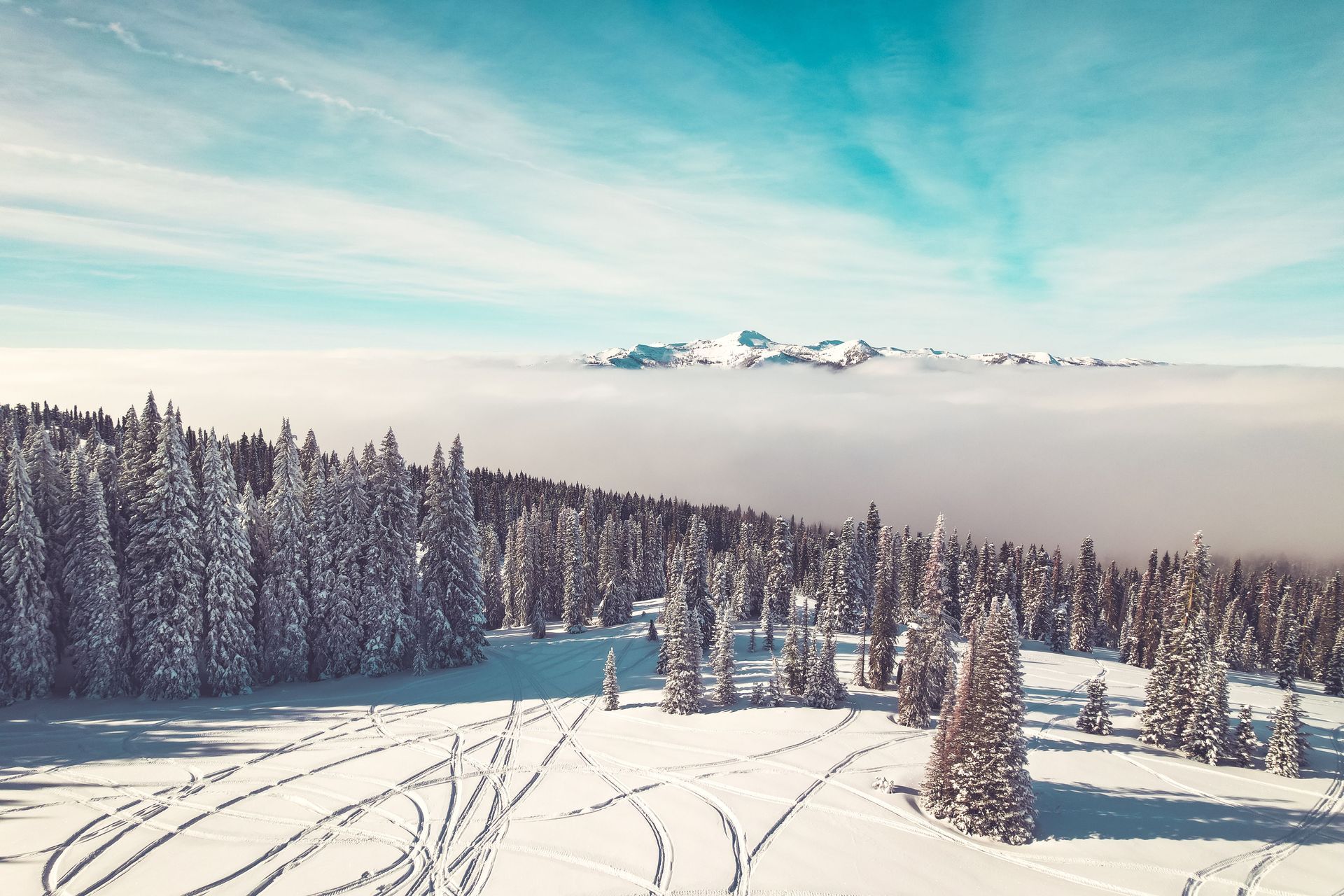 Old Guys On Vacation Ski Club – Schweitzer, Idaho