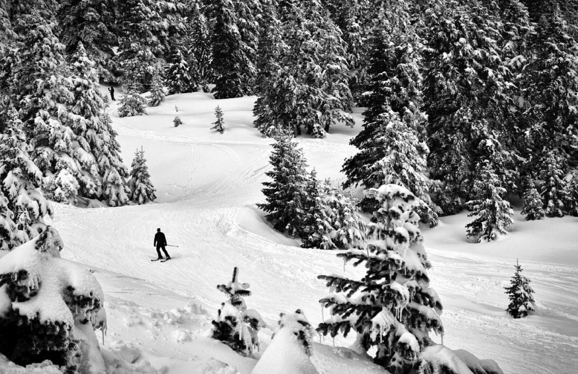 Indy Ski Club Mt. Bachelor, Oregon Ski Trip