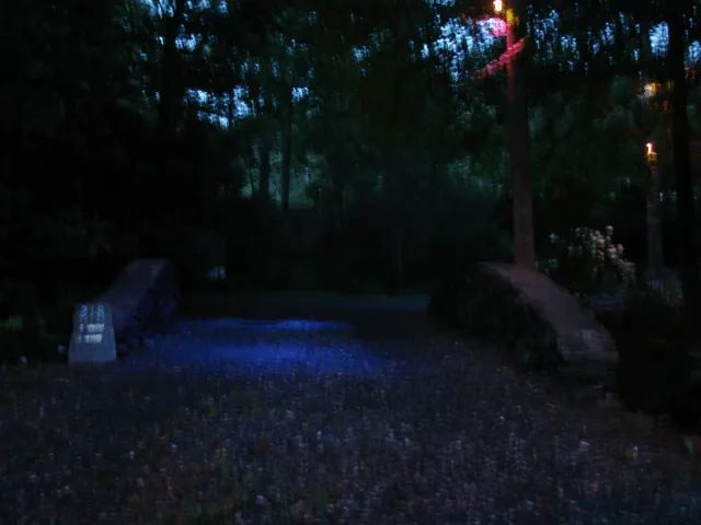 A stone bridge illuminated by blue light in a dark forest at dusk.