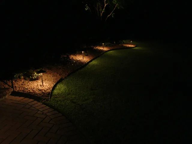 Pathway illuminated by landscape lights at night.