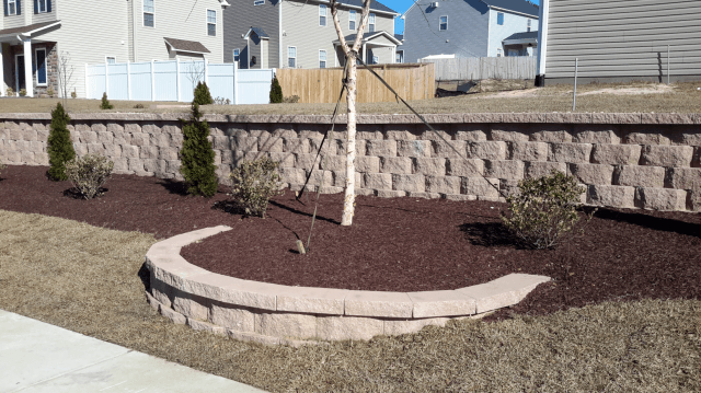 Retaining wall with raised flower bed, tree, shrubs, and brown mulch in front of a residential building.