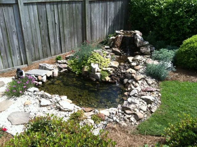Small backyard pond with waterfall, surrounded by rocks and plants, near a wooden fence.