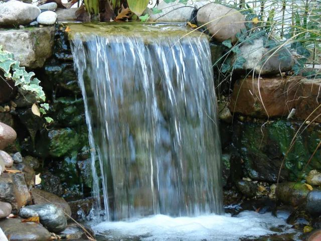 Small waterfall cascading over stone into a pool, surrounded by rocks and foliage.