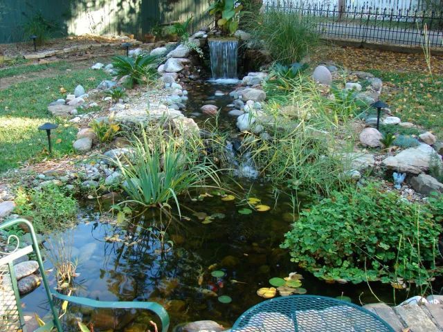 Water garden with a small waterfall, various plants, and rocks.