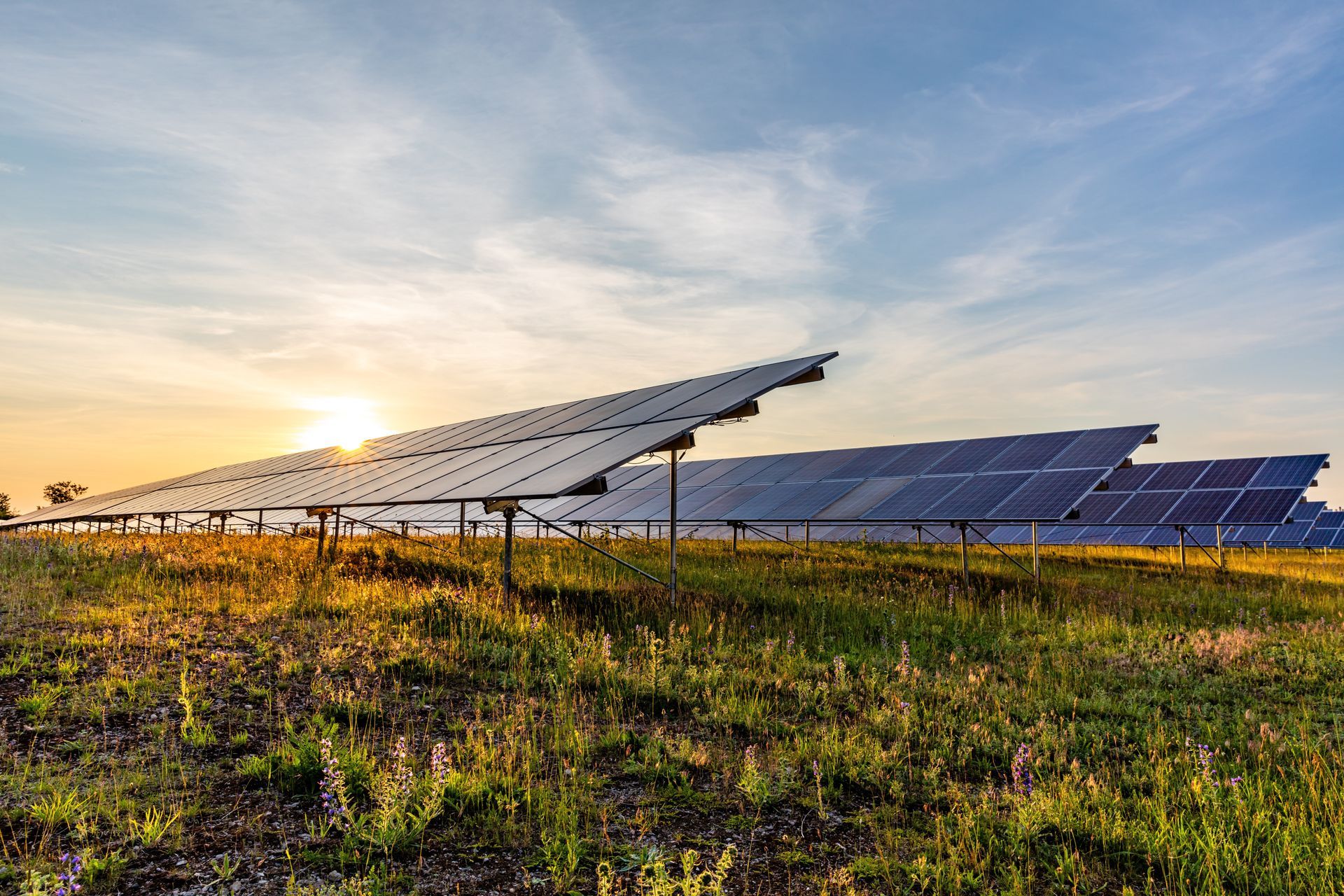 Solaranlagen auf Freiflächen ohne Eigenkapital