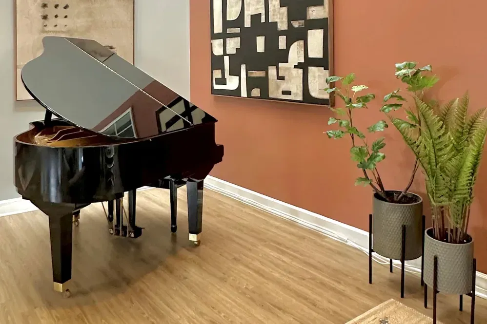 A grand piano is sitting in a living room next to potted plants at Glade Creek, VA.