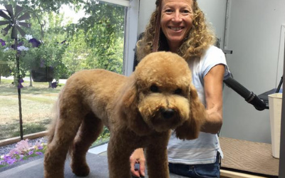 A smiling person grooming a light brown Goldendoodle inside a room with a large window.
