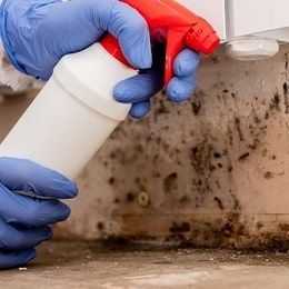 Mold Remediation — Clean Air Crew in Ocean Springs, MS