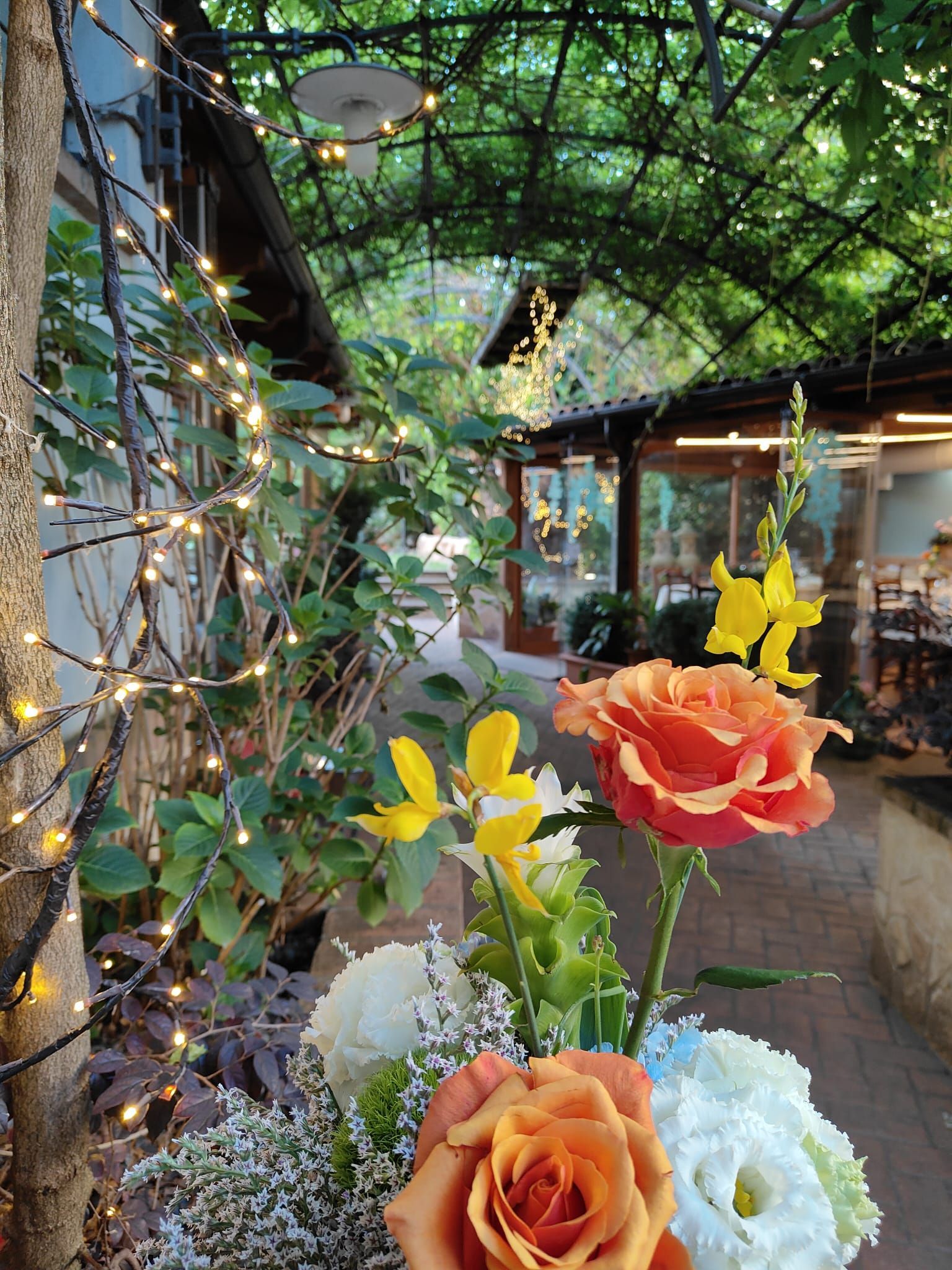 giardino