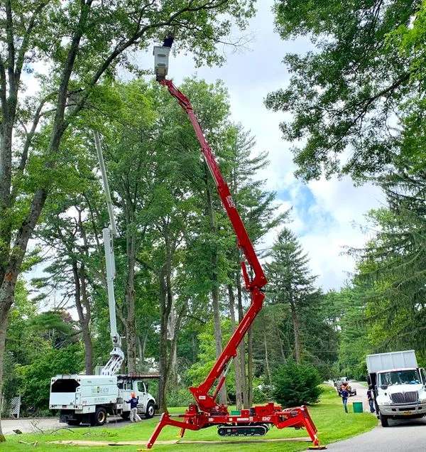 Red tree trimming lift reaches into a tall tree. Another lift truck and workers on the ground.