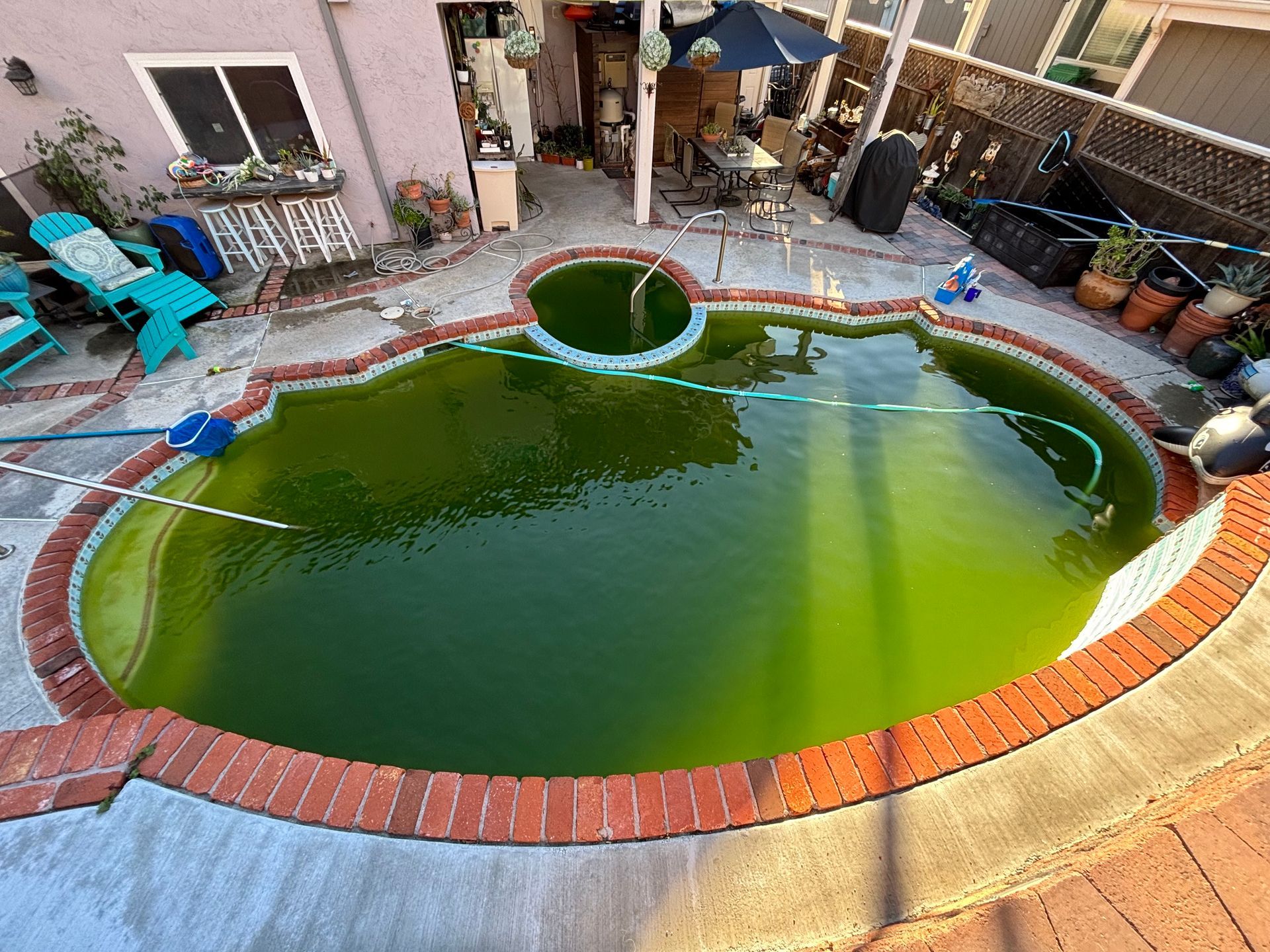 An aerial view of a swimming pool filled with green water.
