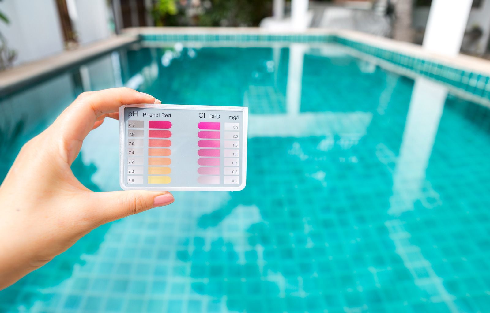 A person is holding a test card in front of a swimming pool.