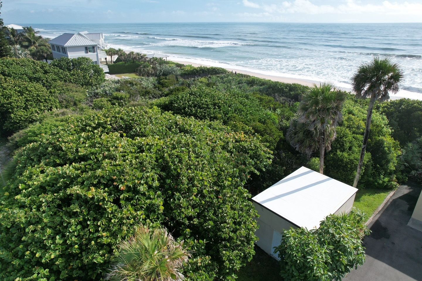 Clean TPO roof in Paradise