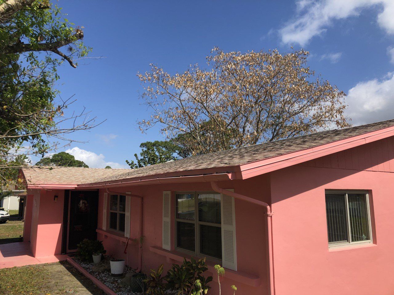 Amber Colored Shingle Roof