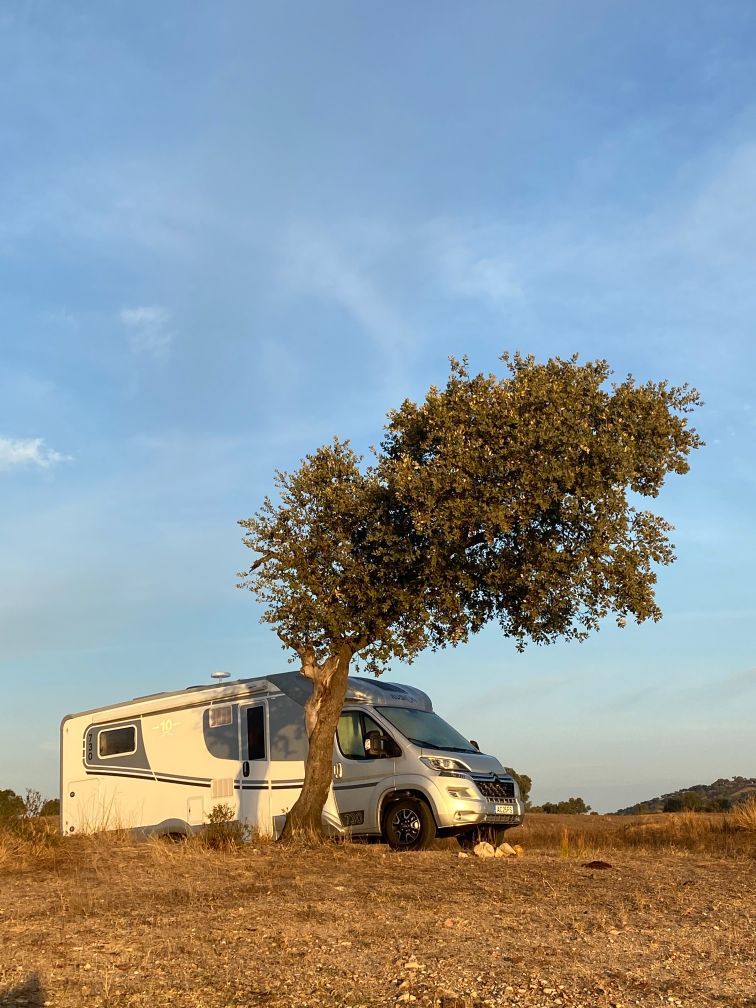 Detailed RV motorhome parked under a treee in the desert