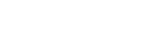 Blank white background.