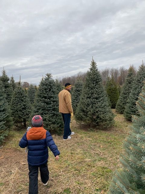 A man and a boy are walking through a christmas tree farm.