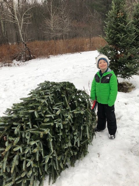 A young boy in a green jacket is standing next to a pile of christmas trees in the snow.