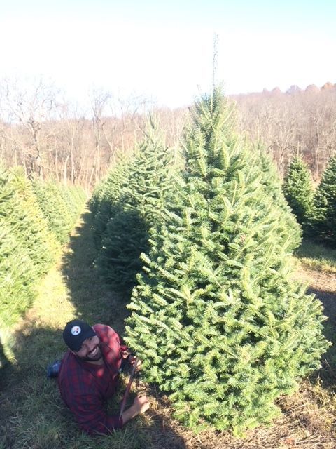 A man is kneeling next to a christmas tree in a field.