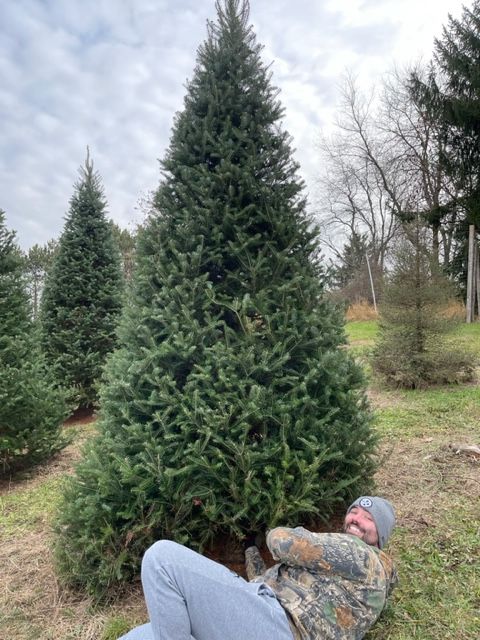 A man is laying on the ground next to a christmas tree.