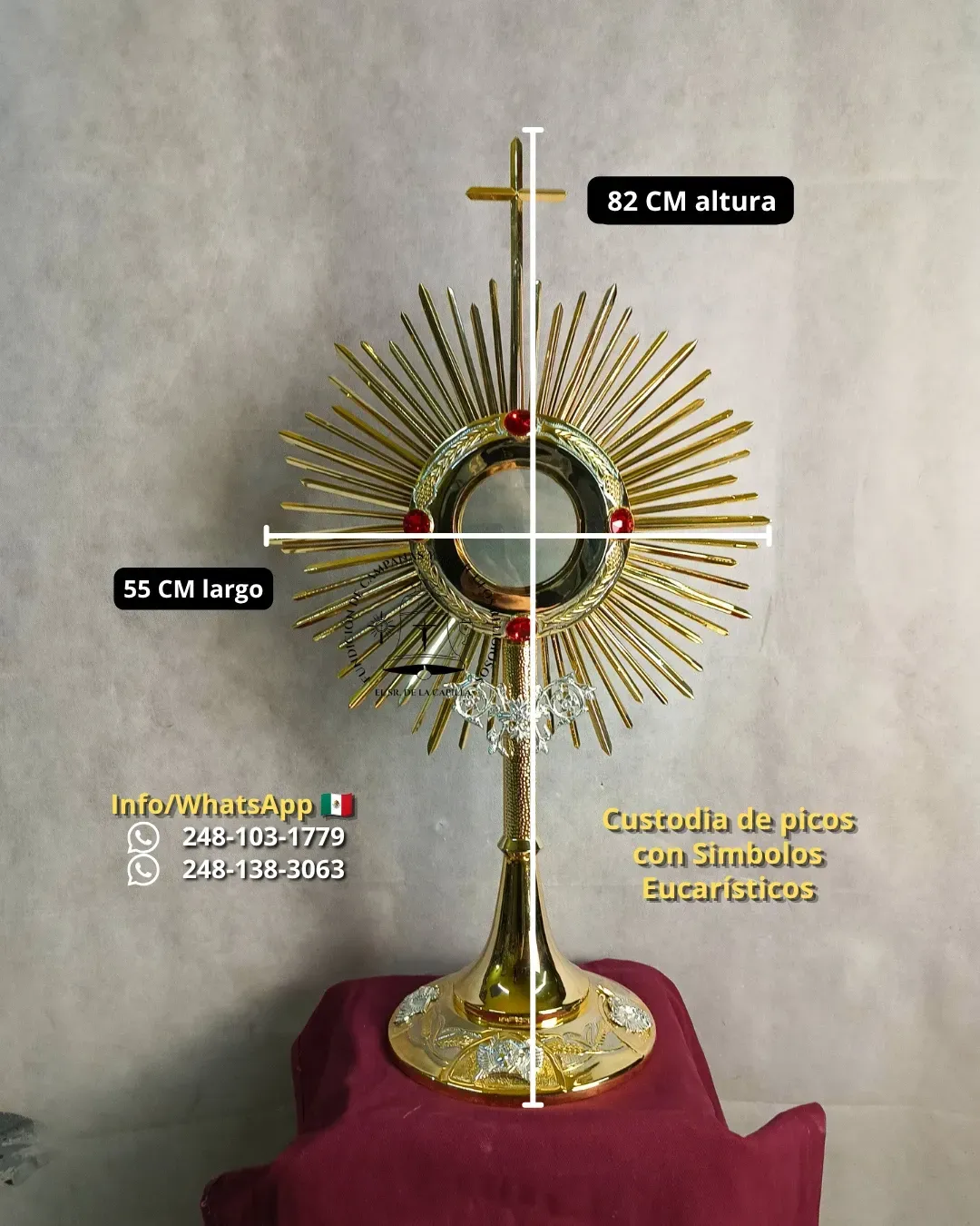 Custodia de picos
