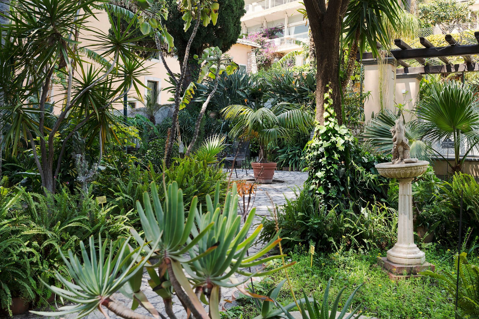 Üppiger Gartenhof mit Sukkulenten, Palmen und einem steinernen Vogelbad unter einer Pergola