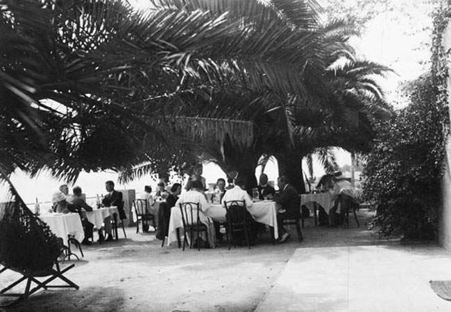 Des personnes assises à des tables en terrasse, sous de grands palmiers, dans une cour-jardin ombragée.
