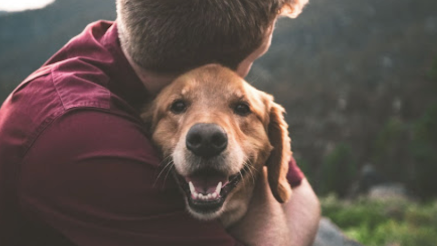 Man hugging a happy golden retriever; outdoors, blurred background.