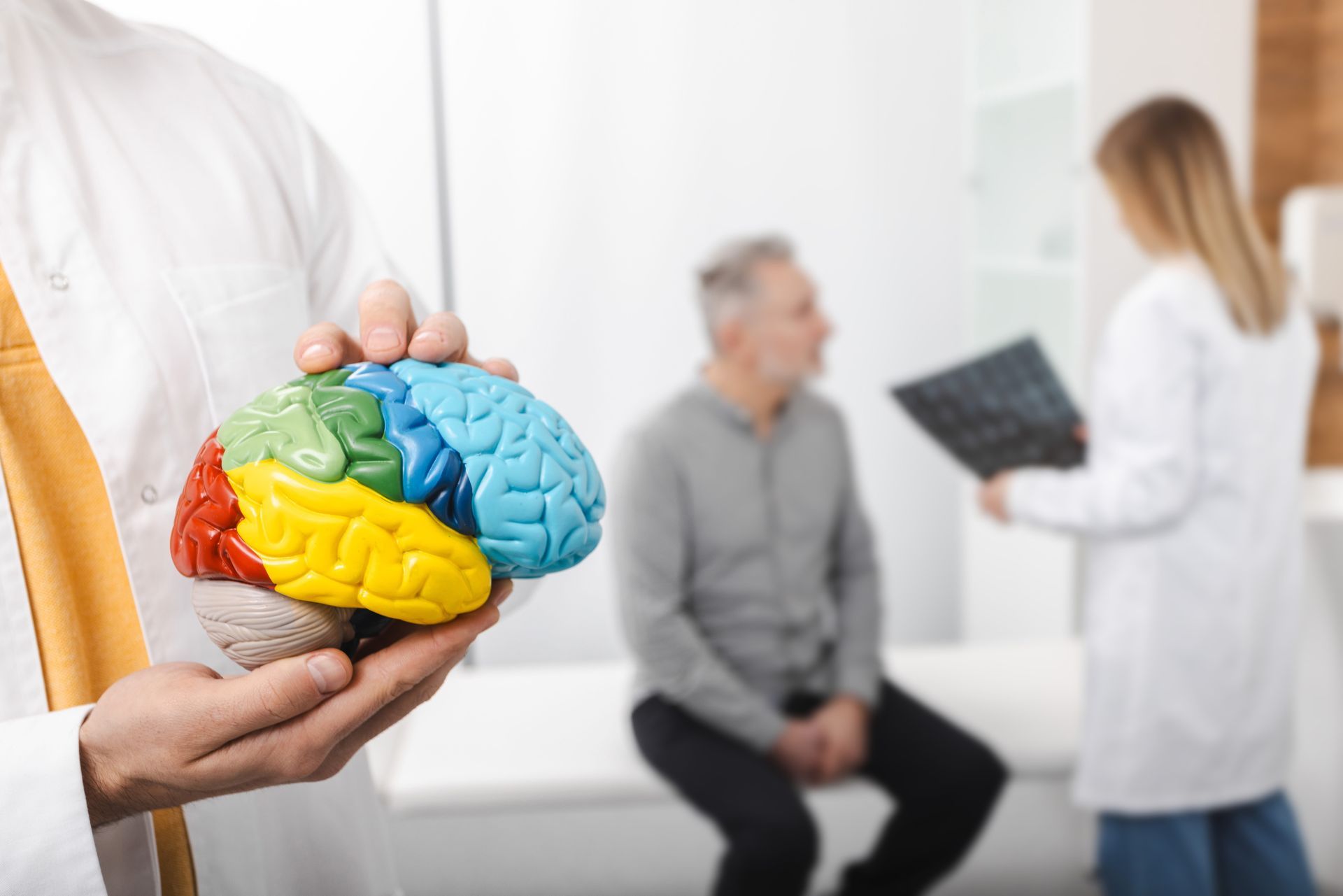 Professional neuropsychologist reviewing evaluation materials in Newton MA office