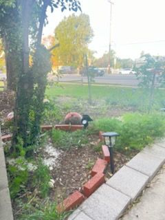 Broken brick border along a garden bed beside a sidewalk, with grass and trees in the background.