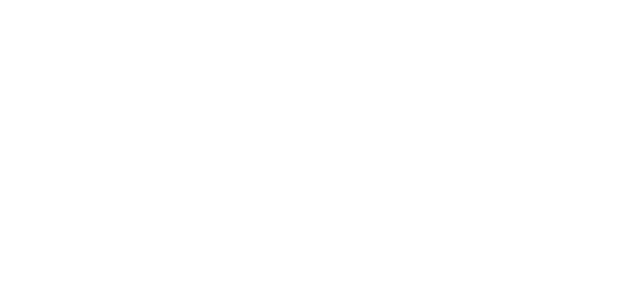Bayside Windscreens