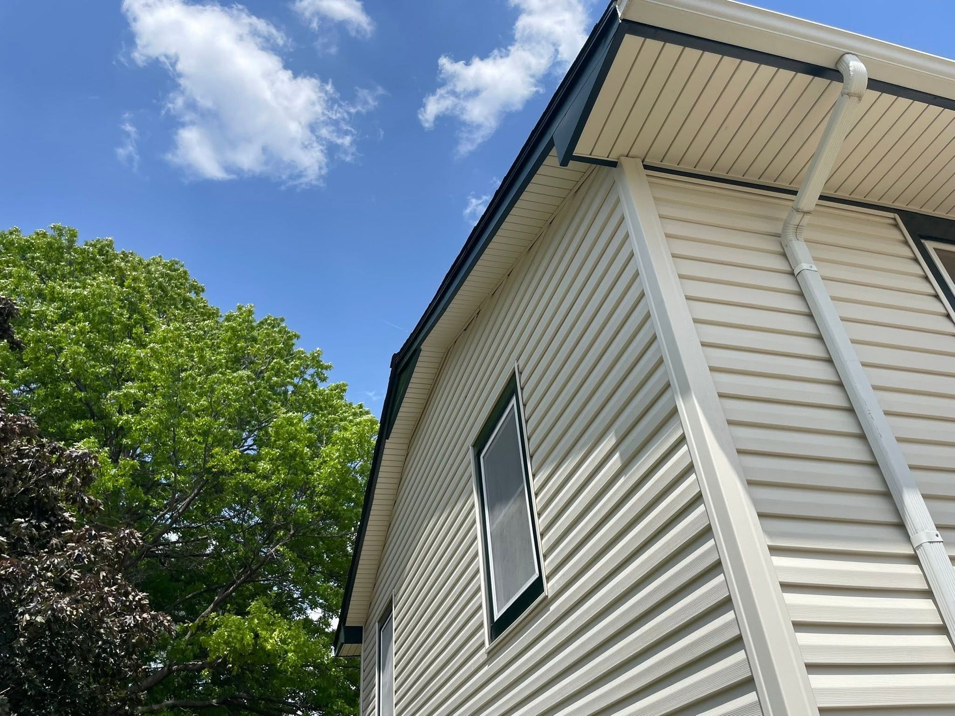 White house siding and roof edge beside a leafy green tree under a blue sky with clouds