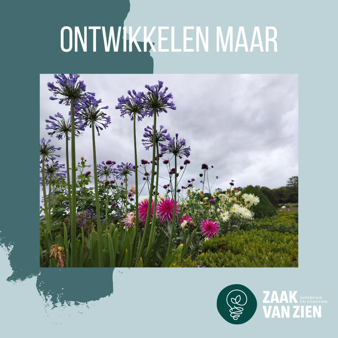 Persoonlijke ontwikkeling