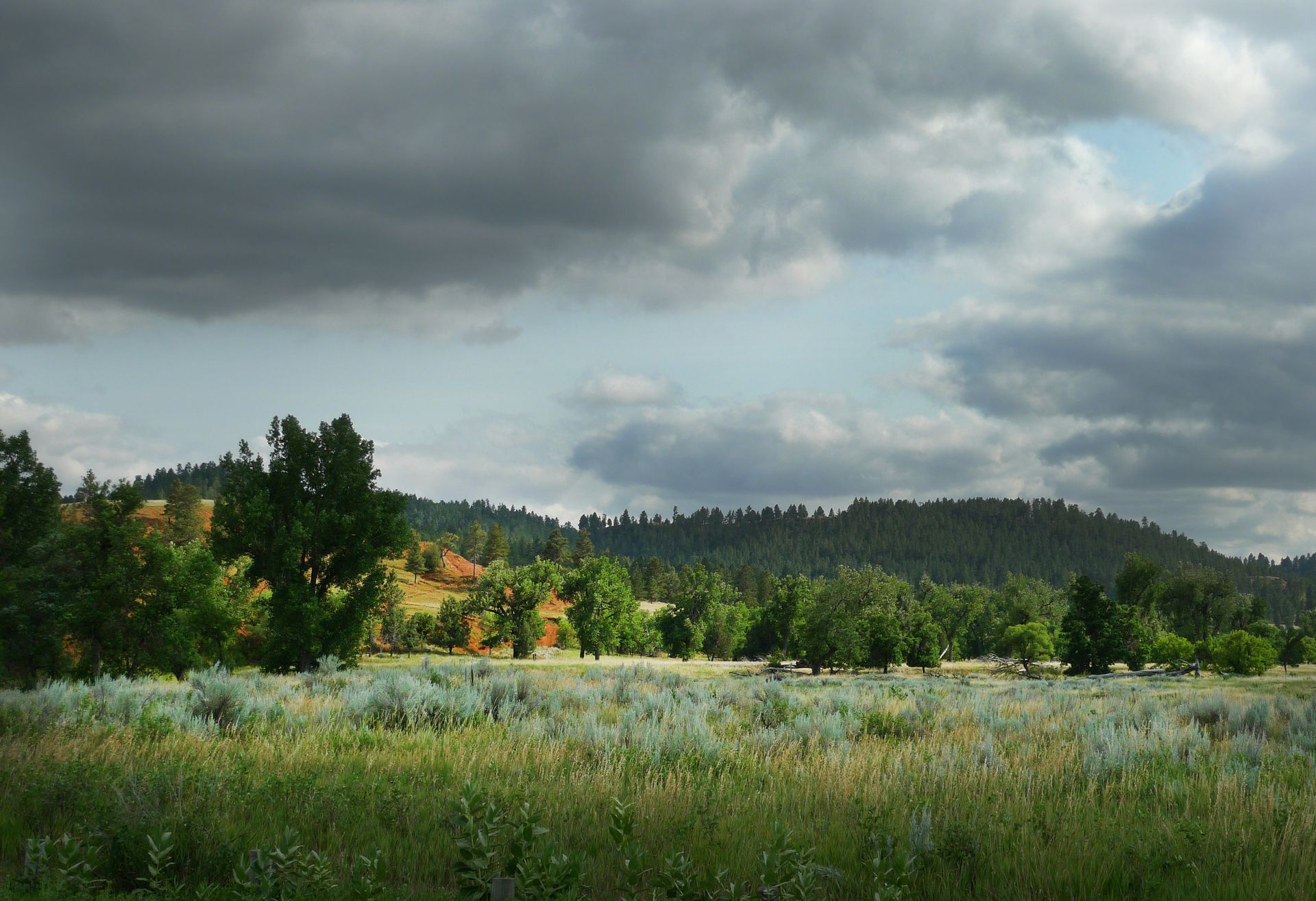A cloudy sky over a grassy field with trees in the background