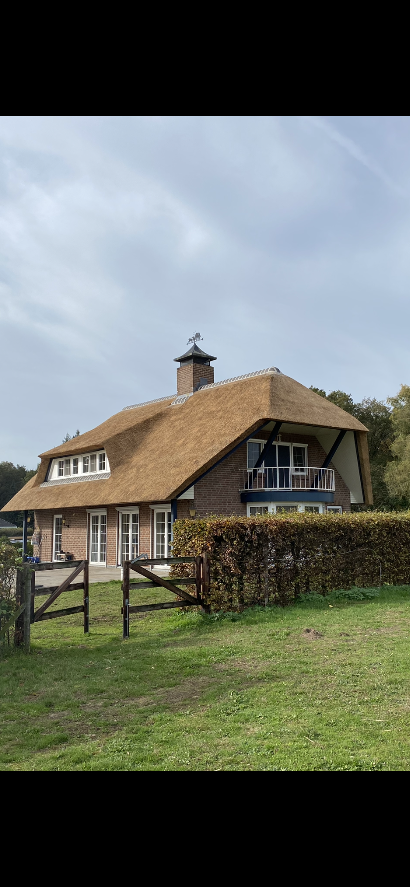 Een huis met een rieten dak staat midden in een grasveld.
