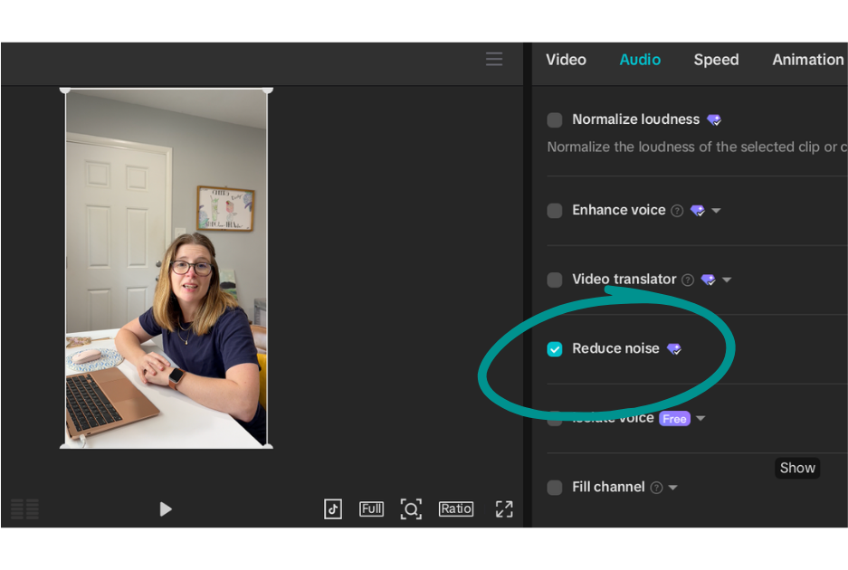 Screenshot of CapCut video editor with the reduce noise tool circled.