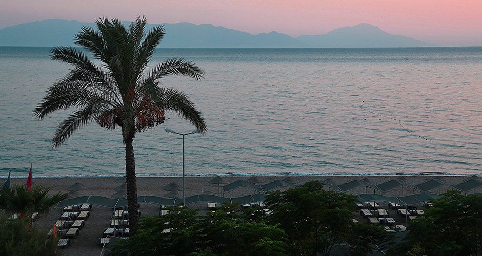 Cactus Paradise Otel, Galeri, Plaj&Havuz