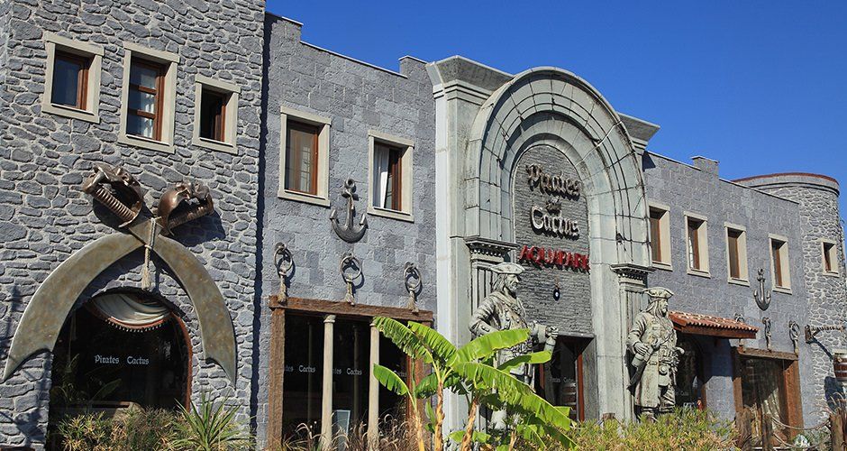 Pirates Inn Cactus Aquapark, Genel Görünüm