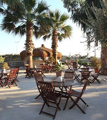 cactus hotels, restoran