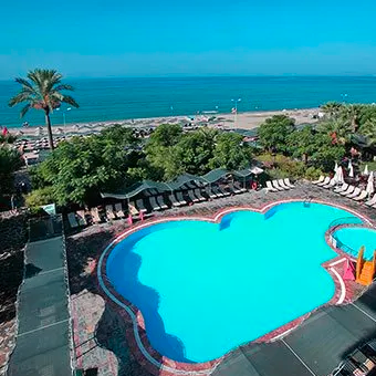 Visit Cactus Paradise Website Cactus Paradise, Book Direct & Save More