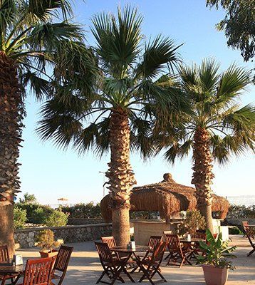 cactus hotels, restoran