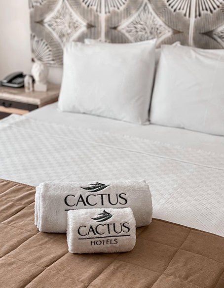 Cactus Fleur Beach, Deniz Havuz Manzaralı Suit Oda