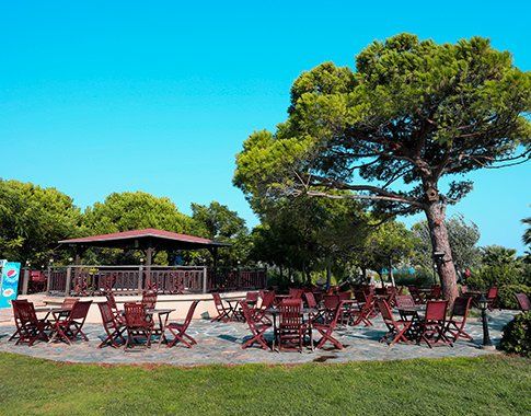 Club Yalı Hotel & Resort, Restoran&Bar, Ağaç Bar