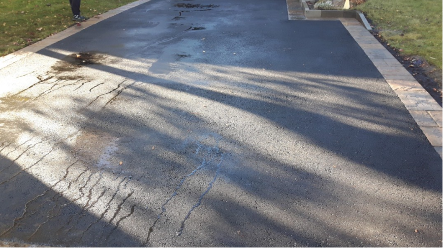 L'ombre d'un arbre se projette sur l'asphalte d'une allée.